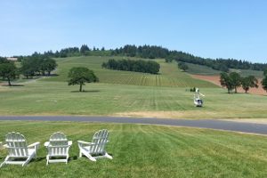 helicopter wine tasting tour oregon mcminnville stoller dundee hills