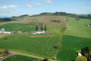 Dundee hills helicopter tour