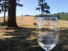 stoller-wine-view