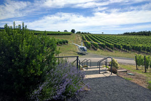 oregon wine tasting winery helicopter tours