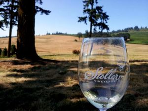 stoller wine glass tasting