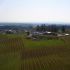 Winecountry